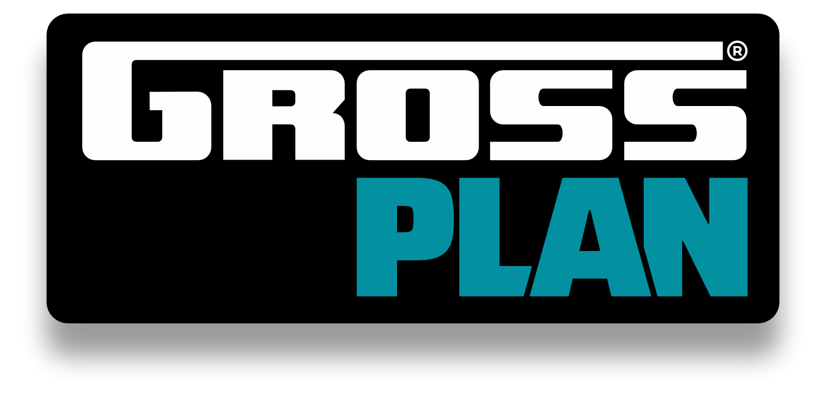 Plan ahorro Gross Remolques
